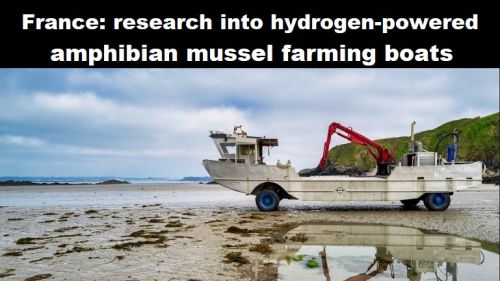 Frankrijk: mossel-industrie start onderzoek naar amfibie-boten op waterstof