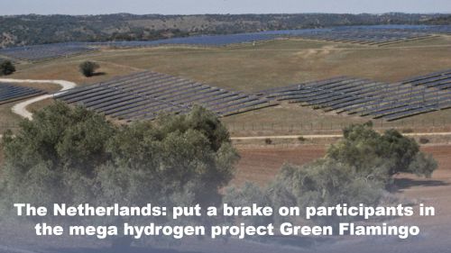 Nederland: rem op deelnemers aan megawaterstof-project Green Flamingo